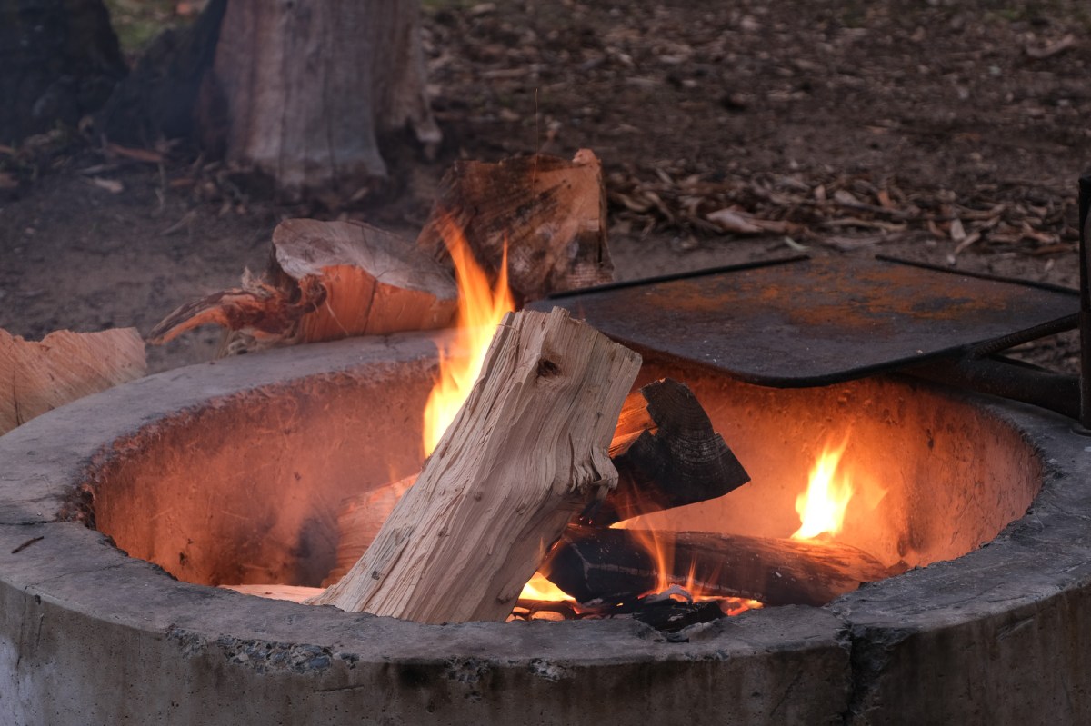 All in Day #8  Numbats & Egg&nbsp;Sandwiches