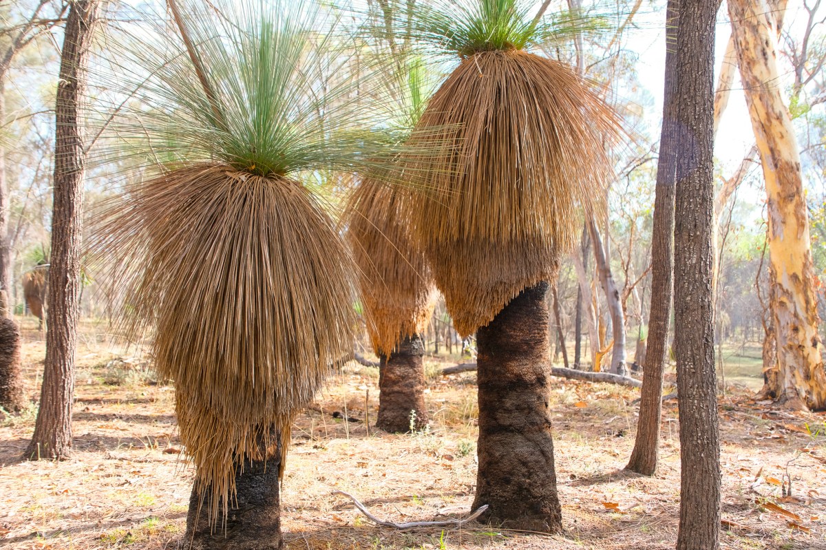 All in A Day #6  Lane Pool Reserve&nbsp;Camping