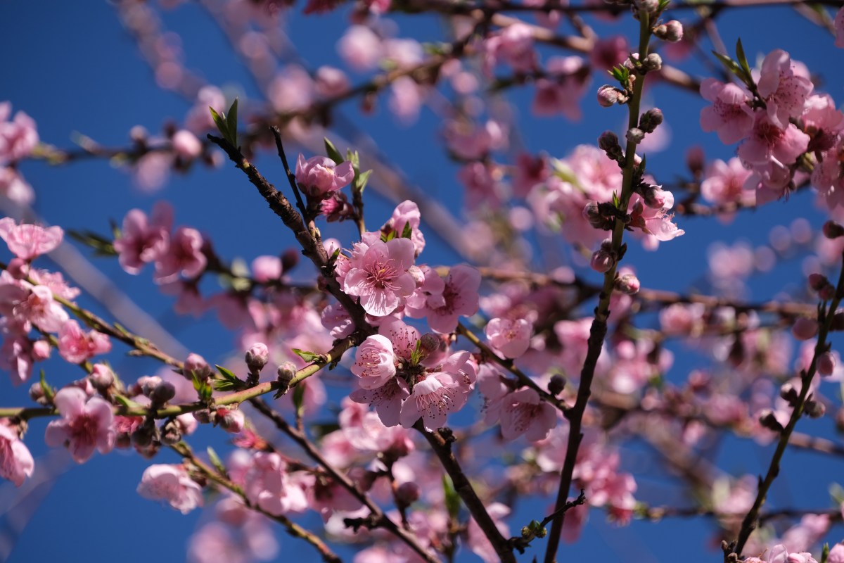 All in A Day #11 – Dwelling on Dwellingup – a ‘cusp of Spring’&nbsp;Break